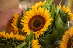 Donderdag -16 Mini Heesch 2025 Foto's: Ans Bloem